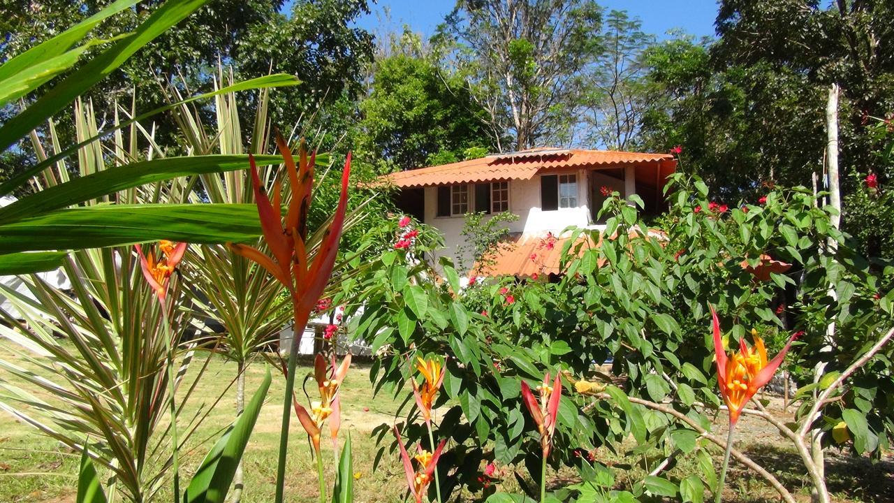 Cebaco Sunrise Lodge Isla Cebaco Esterno foto